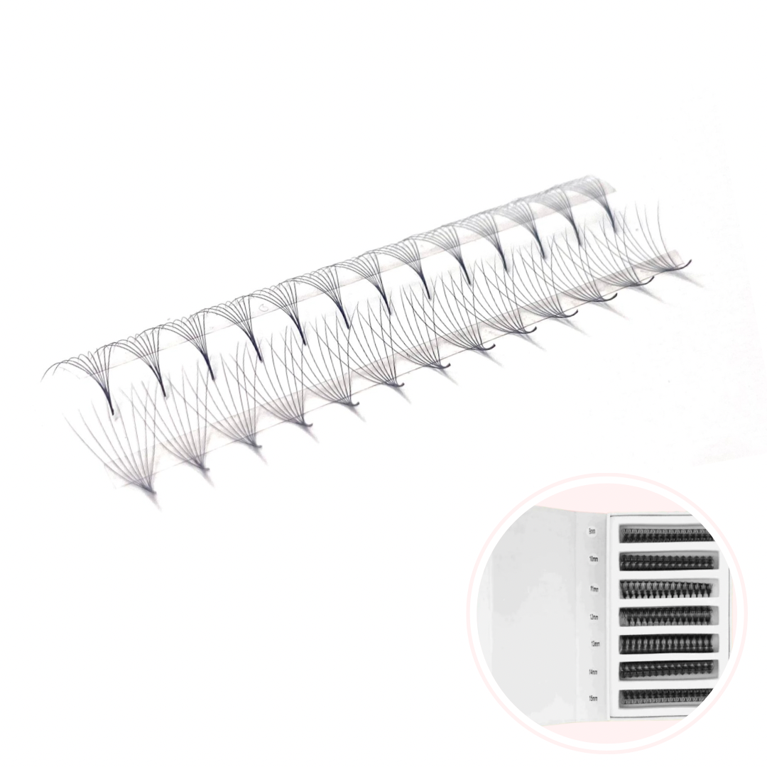 6D, RJ Speed Strips, Mixed Length 8mm-14mm (800 Fans) D Curl